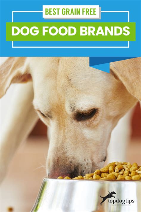 Top 50 Cheap Best Grain-Free Dog Food Brands