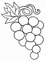 Grapes Coloring Page At GetColoringscom  Free Printable colorings sketch template