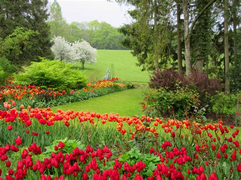 Tulip Festival - Pashley Manor Gardens