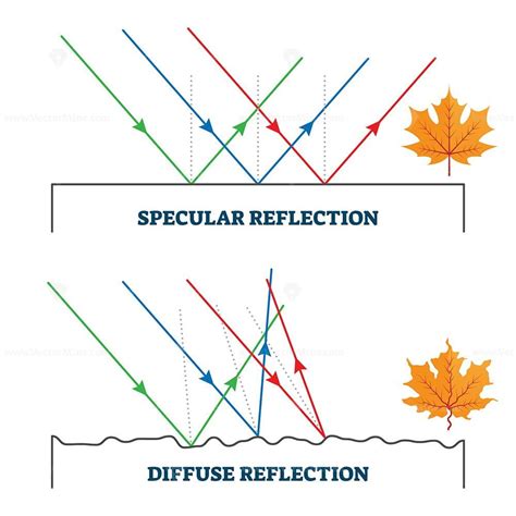 Specular and diffuse reflection, vector illustration diagram ...