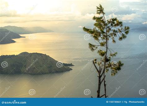 A Tree in the Middle of Lake Toba Golden Sunrise View Stock Image - Image of large, hand: 150730661