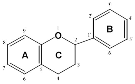 General structure of flavonoids. | Download Scientific Diagram