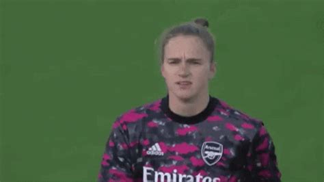 Arsenal Afc GIF - Arsenal Afc Fan - Discover & Share GIFs