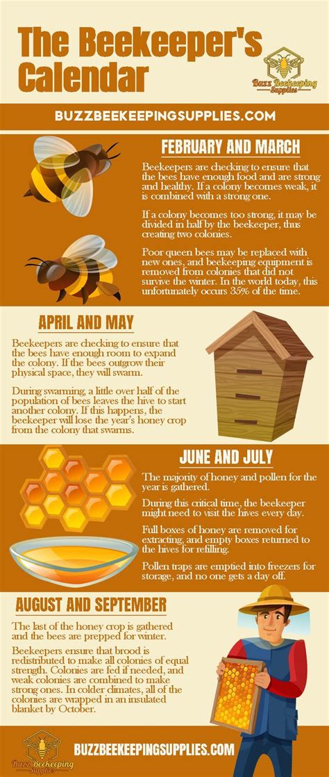 The Beekeeper's Calendar | Buzz Beekeeping Supplies | Bee keeping, Bee keeping supplies, Bee ...