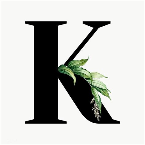 Botanical capital letter K transparent png | premium image by rawpixel ...