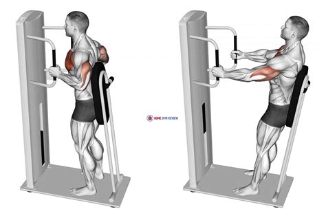 Lever Standing Chest Press - Home Gym Review