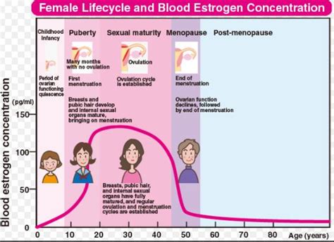 Low Estrogen Causes, Symptoms, Side Effects, Weight Gain, Diet, Birth Control Pills, Treatment ...