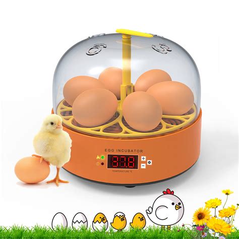 Buy Egg Incubator, 16-32 Eggs Incubators for Hatching Eggs with ...
