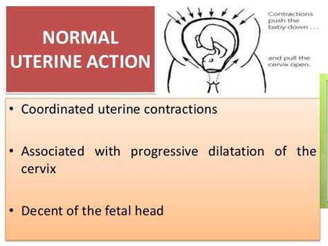 Uterine Inertia, Precipitate Labor and Uterine Tetany