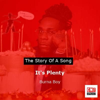 The story and meaning of the song 'It's Plenty - Burna Boy