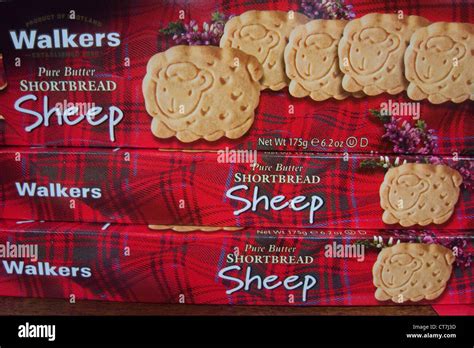 scottish shortbread biscuits Stock Photo - Alamy