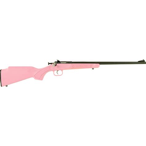 Crickett Single Shot Synthetic .22 LR Bolt-Action Rifle | Academy