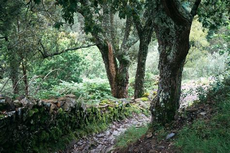 9 Best Hikes In Portugal (Coastal & Inland Trails) • Indie Traveller