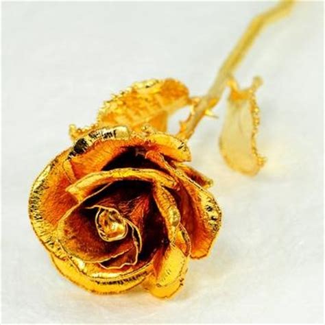 1000+ images about 24k Gold Dipped Roses on Pinterest