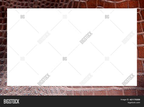 Alligator Skin. Image & Photo (Free Trial) | Bigstock