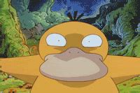 Psyduck GIFs - Get the best gif on GIFER