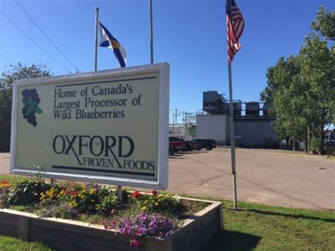 Rural Reckoning: Oxford seeks diversity and pride to stay strong | CBC News