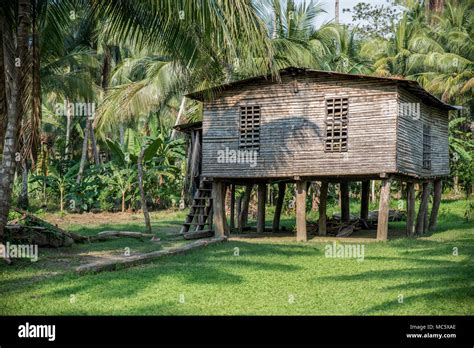 Papua new guinea sepik river house hi-res stock photography and images ...