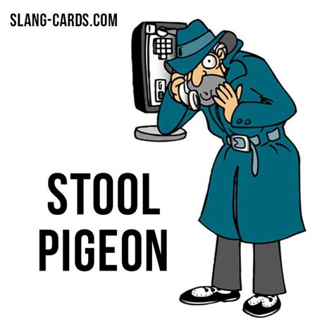 Hi there! Our slang term of the day is ”Stool pigeon”, which means “a police informer”. Origin ...