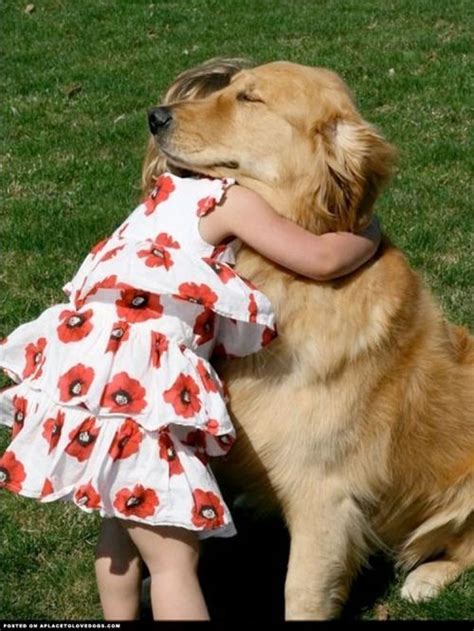 Golden Retrievers give the BEST hugs. Ravenwhimsy's Wonderful World. # ...