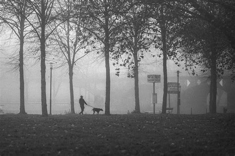 Walking The Dog On A Foggy Day Photograph by Eiji Yamamoto - Fine Art ...