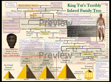 King Tut's Inbred Family Tree Poster 24 X 18 by Mortal Faces - Etsy