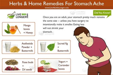 15 Home Remedies for Stomach Ache That Effectively Work