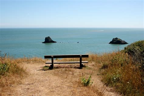 Lonely Bench Free Stock Photo - Public Domain Pictures