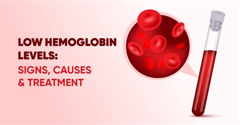 Hemoglobin Levels: High Low, Symptoms, And Risk Factors, 57% OFF