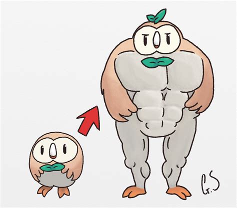 Rowlet Evolution by Gregtendo on DeviantArt