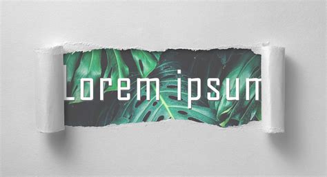 Lorem ipsum dummy text: text generators and alternatives