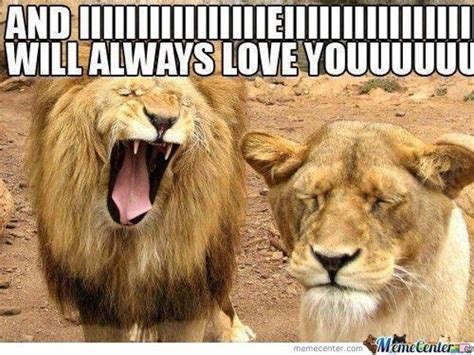 25 Lion Memes That Will Make You Feel Like a King in 2021 | Funny love ...