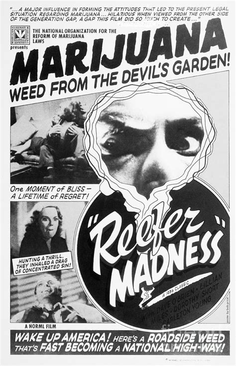 Reefer Madness Movie Poster Photograph by Bettmann - Fine Art America