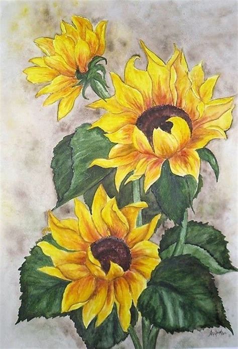 Tranh vẽ hoa hướng dương đẹp nhất | Sunflower watercolor painting ...