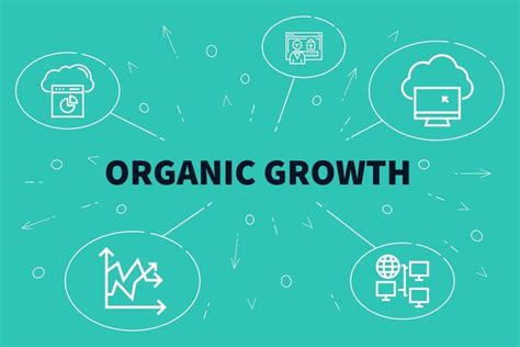 Organic Growth - Overview, How It Works, Primary Strategies