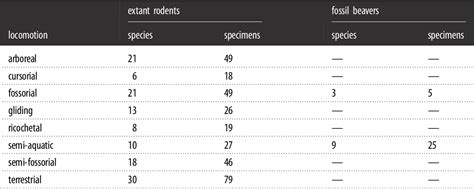 Table 1 from The oldest semi-aquatic beaver in the world and a new ...