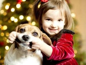 Top 10 Small Dog Breeds Your Kids Love to Have – Easyday