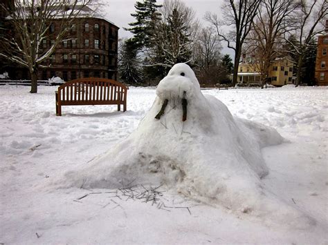 PRINCETON DAILY PHOTO: Snow walrus