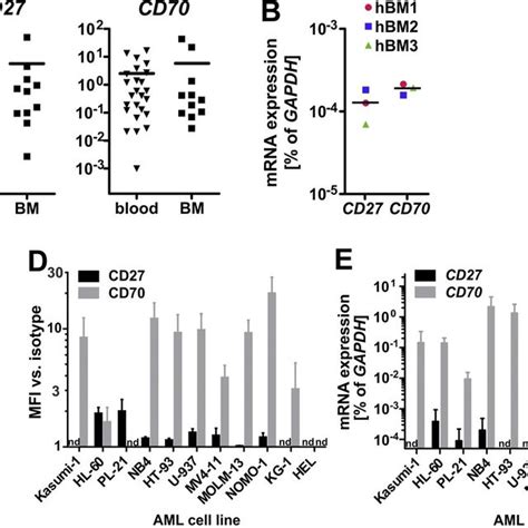 (PDF) CD70/CD27 signaling promotes blast stemness and is a viable therapeutic target in acute ...