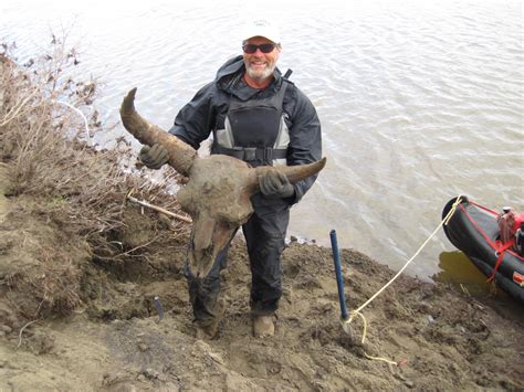 Reading the bones: a 43,000-year-old mystery is answering some ...