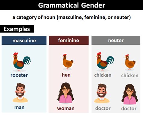 Gender Explanation And Examples | Free Download Nude Photo Gallery