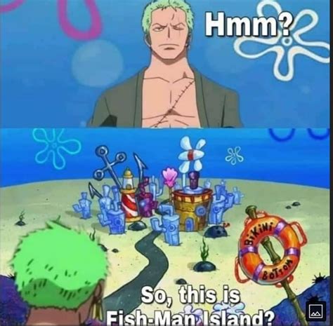 Bikini bottom : r/MemePiece