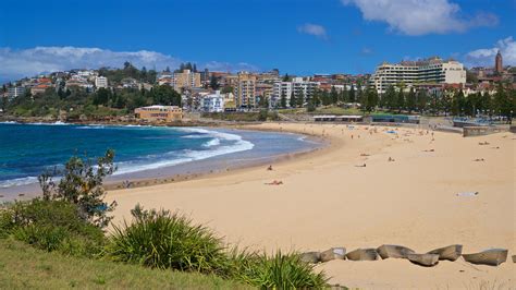 Top 10 Coogee Beach Hotels $41 | Cheap Hotels on Expedia