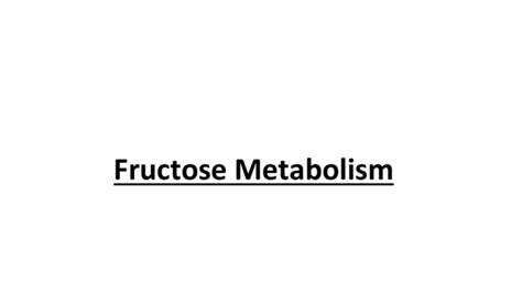 Fructose Metabolism