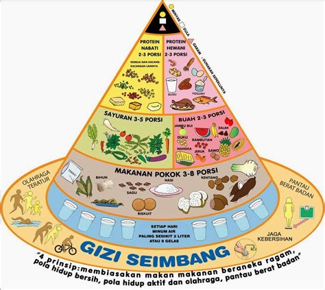 Begini Lho Cara Menerapkan Pedoman Makan Sehat - Dokter Sehat