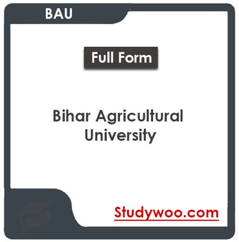 Bihar Agricultural University Fees Structure and Courses 2024-25