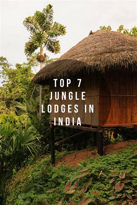 Jungle lodges and resorts the top 7 in india – Artofit