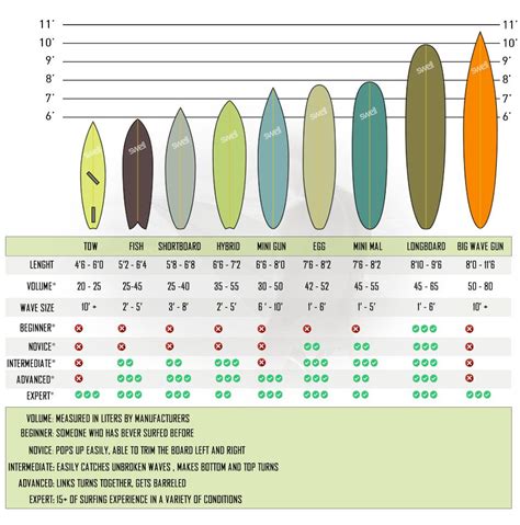 Different surfboards and shapes explained | Surfboard shapes, Surfboard ...