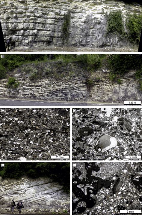 Depositional sequence 1: depositional characteristics and microfacies ...