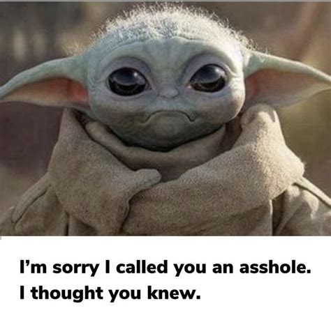 Pin by Laura Maeda on Baby yoda | Yoda funny, Yoda meme, Yoda images